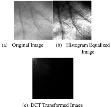 Fig 5. Images at different Stages of Transformation  with the DCT Transform 