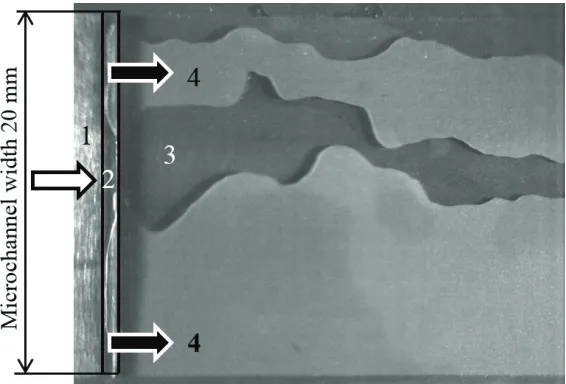 Fig. 2. Picture of the jet flow at USG = 0.333 m/s, USL= 0.017 m/s, top view. 1 – gas inlet to microchannel, 2 – slot in the bottom wall of microchannel for liquid input, 3 – unwetted zone on the upper wall of microchannel, 4 – liquid