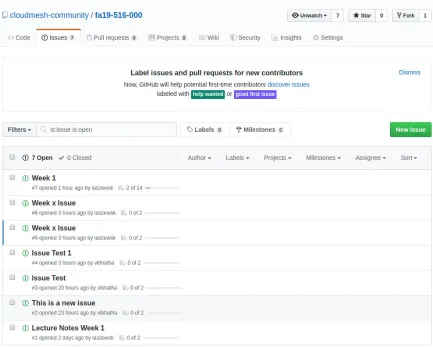 Figure 2: Git Issue List