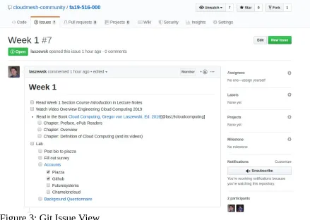 Figure 3: Git Issue View