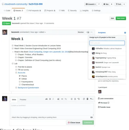 Figure 4: Git Issue View