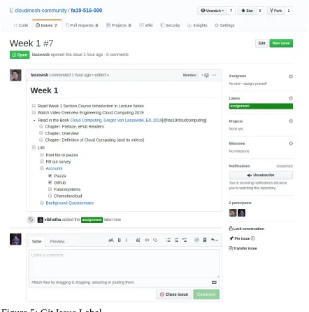 Figure 5: Git Issue Label