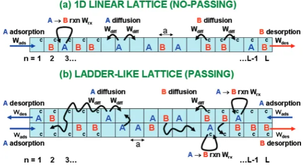 Figure 1. Schematic of the A(a) a 1D linear lattice (no passing); (b) a ladder-like lattice (passing)