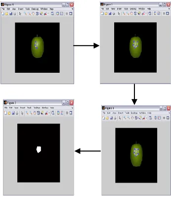 Fig 8. Selecting the problem region. 