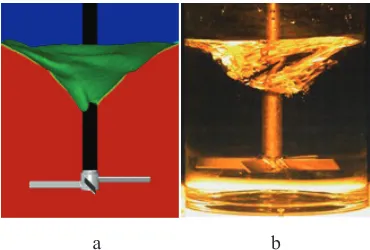 Fig. 5. A comparison of the volume fraction of the liquid with the experimental image at a rotation speed of 200 rpm without solid phase