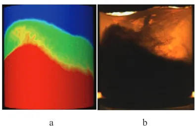 Fig. 7. A comparison of the particles volume fraction at the wall with experiment at rotation speed of 300 rpm