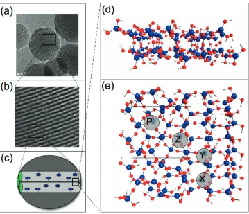 Figure 2. Model surface of inner pore of MSNs. (a) TEM image of an MSN. (b) Expanded section of a TEM image showing side view of the porechannels