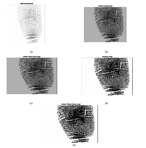 Figure 3 shows the pixel representation in gray-level and binarized image and median filtered image: 