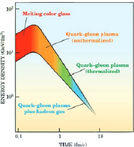Figure 1. Cartoon for evolution of stronglyinteracting matter in nuclear collisions.