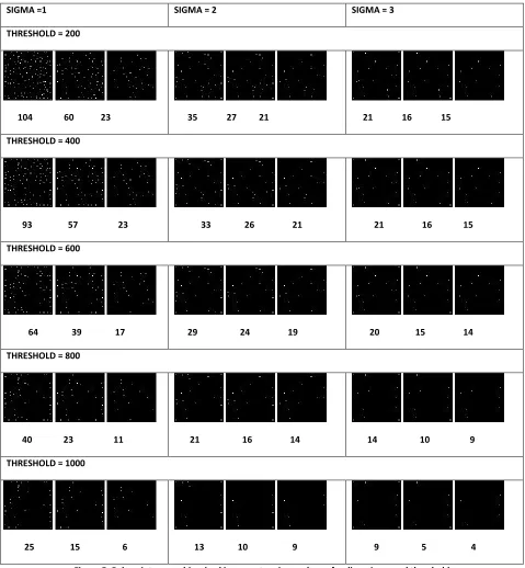 Figure 5: Palmprint corner binarized images at various values of radius, sigma and threshold 