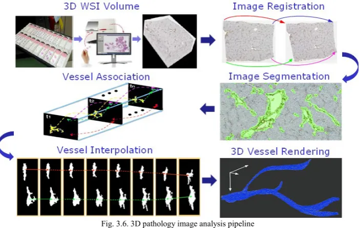 Fig. 3.6. 3D pathology image analysis pipeline 