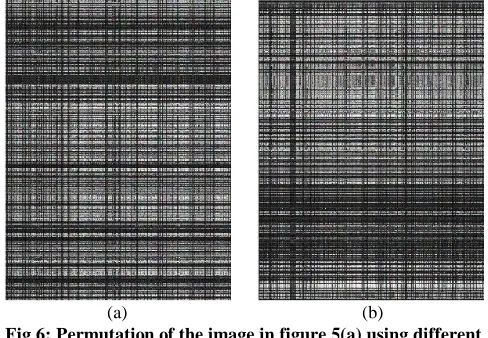 Fig 6: Permutation of the image in figure 5(a) using different values for the key. The values for (a) are: 200 iterations, µµx1x1 = 16 = 16  ¼180¼180, µµx2x2 = =  1010  ¼180¼180, OVOVx1x1 = 1:4 = 1:4, OVOVx2x2 = 1:8 = 1:8, µµy1y1 = =  1212  ¼180¼180, µµy2y