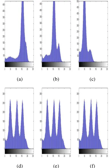 Figure (8(b)) shows the permutation process applied on the same image (Figure 8(a)) used in [2] for an encryption purpose
