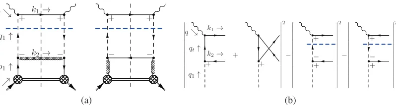 Figure 1. Panel (a): contributions to the DIS structure functions in the LO of PRA. Panel (b): Contributionapproximation, i.e