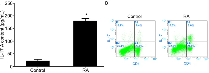 Figure 1. IL-17 overexpressed in synovial fluid from RA patients. A. ELISA detection of IL-17A content in synovial fluid