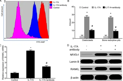 Figure 3. IL-17A blockage suppressed HFLS proliferation, inhibited osteoclasts formation, and restrained bone ab-sorption