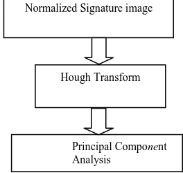 Figure 4 depicts the process of feature extraction from the normalized signature images using Hough Transform and Principal component analysis