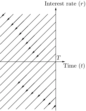 Figure 2.6: Characteristics for the linear problem