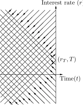 Figure 2.7: Multiple characteristics when there is a maximum at (rT, T)