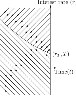 Figure 2.8: Evolution of a maximum without discounting