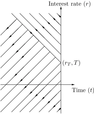 Figure 2.13: The complete set of characteristics with a minimum at (rT, T)