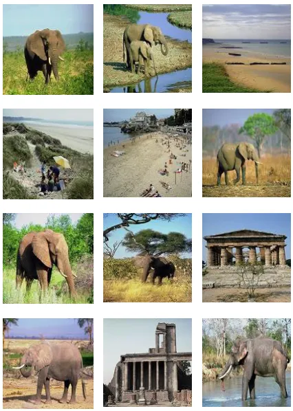 Figure 6: First 21 Retrieved Images of 16 DCT Sectors (column  wise) with sum of Absolute Difference as similarity measures for the query image shown 