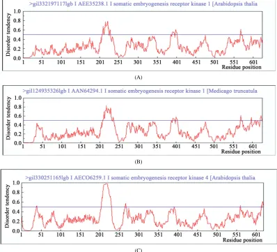 Figure 5. Prediction of intrinsic disordered regions in SERK and SERK-like genes. (A) SERK protein sequence of Arabidopsis SERK1 (AtSERK1) reported earlier for its direct role in SE; (B) SERK protein sequence of Me-dicago SERK1 (MtSERK1) reported earlier f