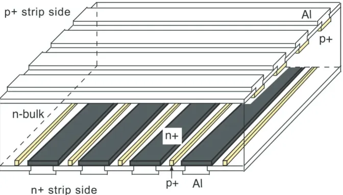 Fig. 1. Sketch of double-sided strip sensor with implanted interleaved p-strips between n+-charge collection strips  