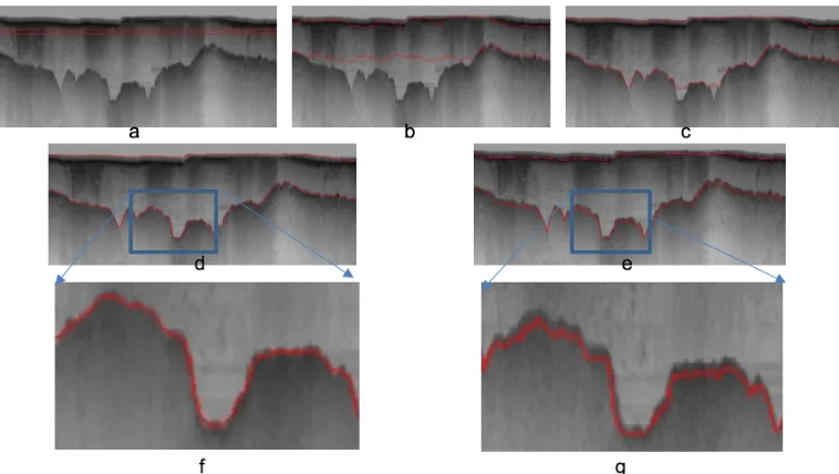 Fig. 3.Contour evolution throughout processing. a) Initial curve, (b)-(e) contour adaptation to ice surface and bottom layers after200, 400, 600, and 800 iterations correspondingly, (f) manually picked interfaces, (g)-(h) the magniﬁed section of (e) and (f)