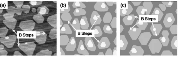 FIG. 1. Ag islands on Ag�180 K.orientation is maintained in Figs.uniform ES barrier of 0.1 eV andES barriersteps111� for 0.7 ML at �a� STM image
