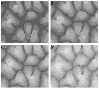 FIG. 4. Simulated morphologies at 150 K: ��c� 4 ML, anda� 1 ML, �b� 2 ML, �d� 20 ML. Images sizes: 100�100 nm2.