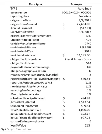 Fig. 4 Sample of loan-level record