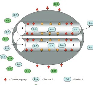 Figure 1. Schematic of a multifunctionalized mesoporous silica system.