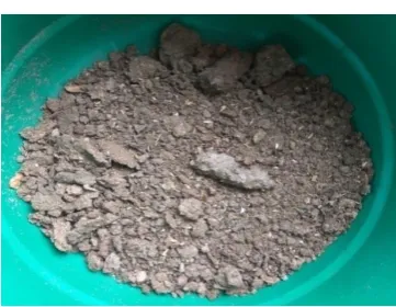 Fig-1: Shows the Raw Pressmud collection 