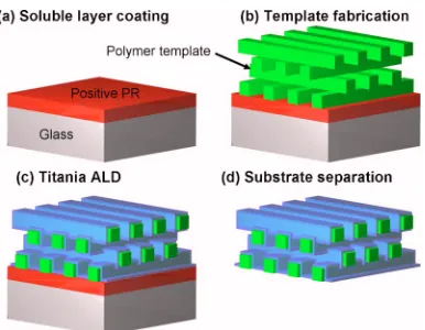 FIG. 1. �polymer template is created by soft lithography on a photoresist-coated glassplate and separated from the plate after TiOColor online� Schematic illustration of the fabrication principle ofa TiO2-coated freestanding photonic crystals by atomic lay