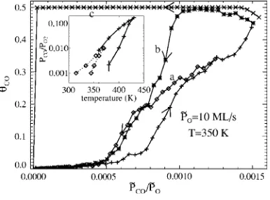 FIG. 3. �tom: ﬂuctuations in CO coveragefor CO oxidation in a 16=440 K withsteady-state coverage of CO andoxygen for CO oxidation atsystem under the above conditionswithColor online� Top: T P˜ O2=10 ML/s