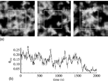 FIG. 5. Top: snapshots from a hysteresis simulation of CO oxi-