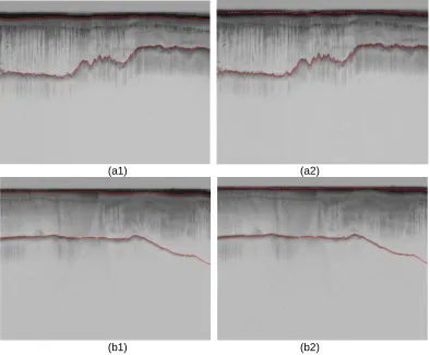 Figure 7 shows some of the representative results for the ice and bedrock layer 