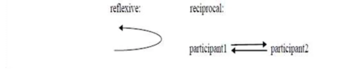 Fig. 2. Reflexive and reciprocal relations adapted from Croft (2012 (34)). 