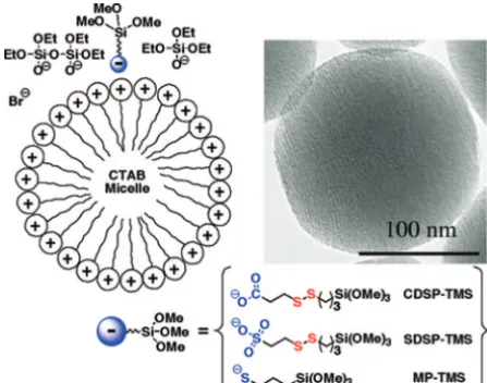 FIGURE 3. Schematic representation of the use of anionic orga-noalkoxysilanes for controlling the functionalization of the MSNmaterials