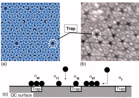 FIG. 6.�surface ofadatoms,toms;ger interactions.marked both on the STM image and on the PES.nucleation at “trap” sites.and�8.6nmColor online� �a� Potential energy surface �8.62� for Ag on i-Al-Pd-Mn QC