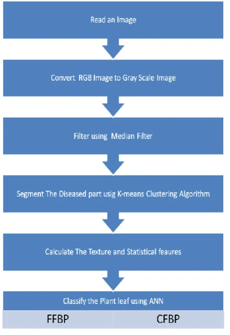 Figure-2: Artificial Neural Networks 