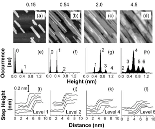 FIG. 2. STM data for Ag deposited on