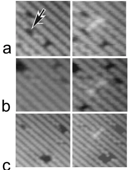 FIG. 1. Filled-state STM images of nucleation of Ga atomic