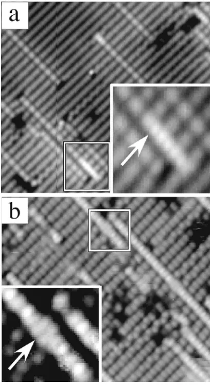 FIG. 2. Ga+In co-deposition studies comparing atomic row