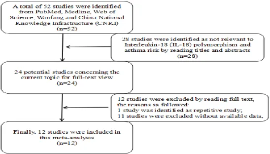 Figure 1. Flow diagram of included/excluded studies in meta-analysis on interleukin-18 polymorphisms and asthma risk   