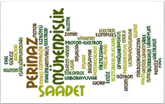Illustration 5. An image of the term trays prepared by the students with appropriate computer programs and  shared on their Facebook page