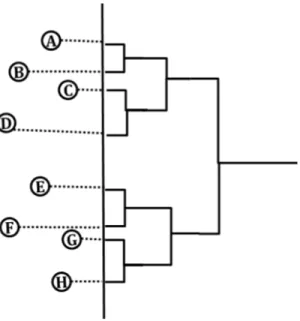 Figure 4 The example of choosing a good projection line determined by PCA to project all the sequences to and draw the given cubic cladogram accordingly.