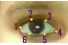 Fig. 1. The 6 eye coordinates as obtained from Dlib  