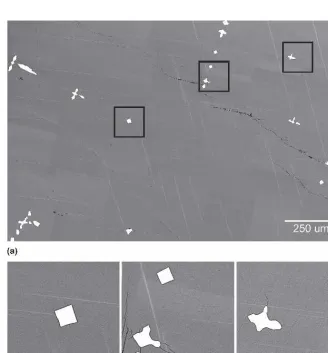 FIG. 1. (a) Composite scanning electron microscopy (SEM) image of a Gd5Si2Ge2 sample before thermal cycling; (b)–(d) close-up views ofdifferent regions.